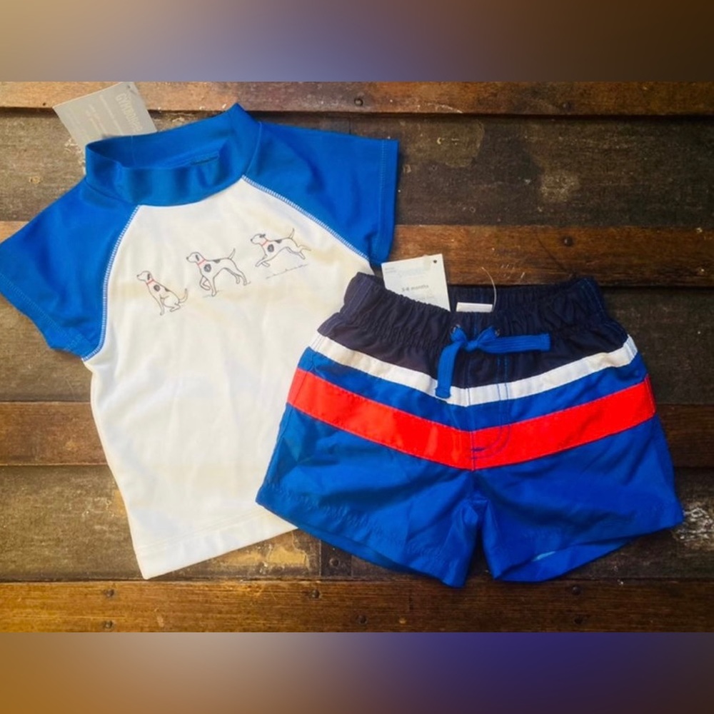2PC w/ Tags Gymboree 3-6 Month Swim Set